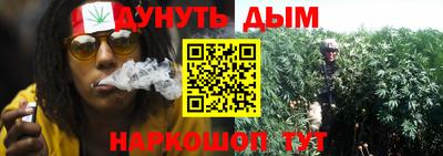 гашик Гусев