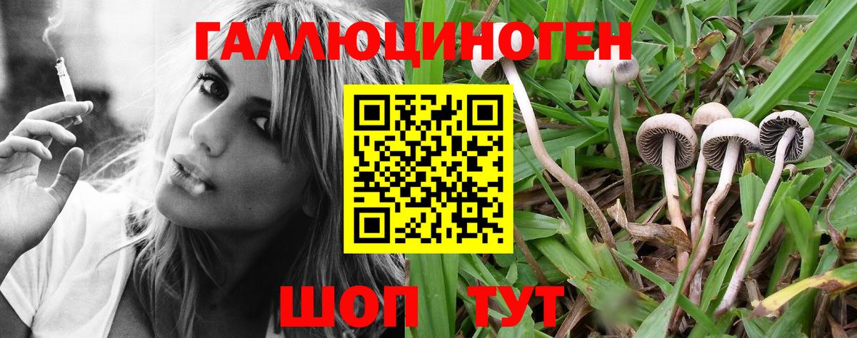 Псилоцибиновые грибы GOLDEN TEACHER  Вход с VPN  где найти   Нерюнгри 