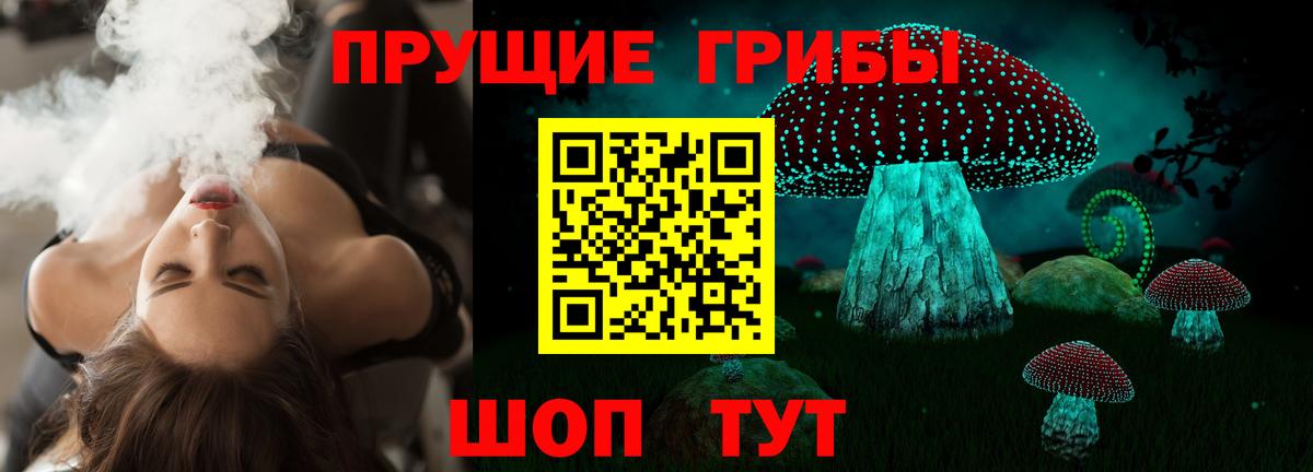 Псилоцибиновые грибы Psilocybe Нерюнгри